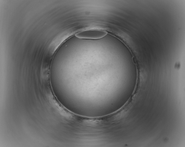 X0000112021185200908031349