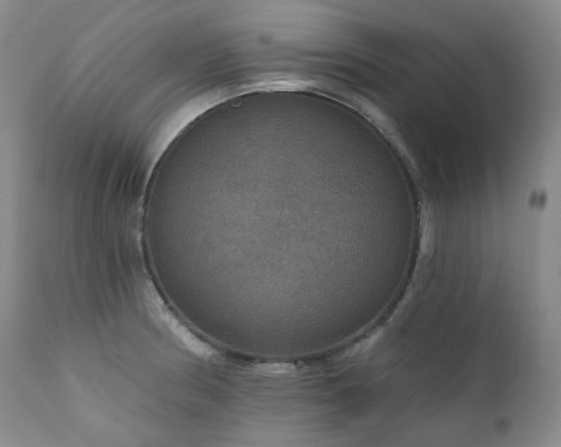 X0000112021186200908031349