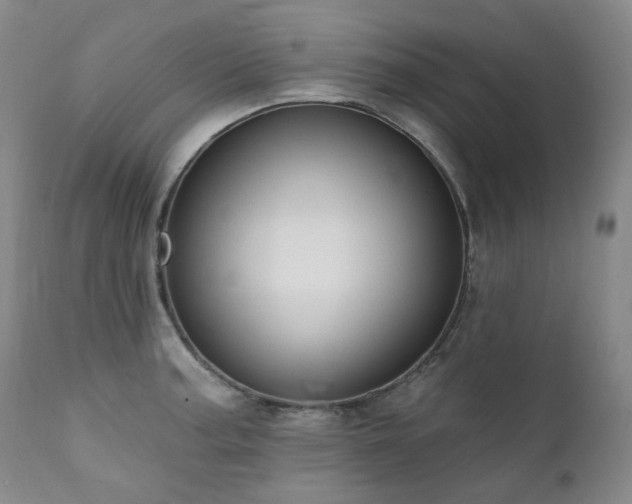 X0000112021187200908031349