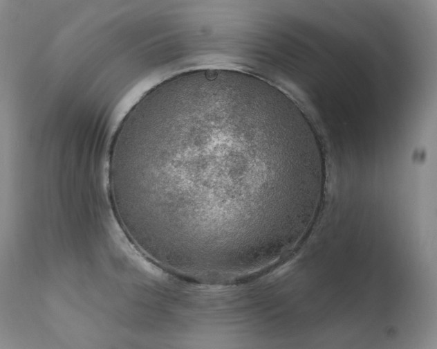 X0000112021188200908031349