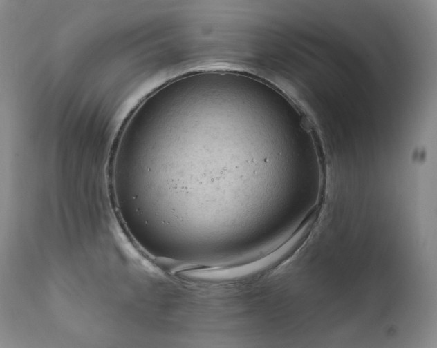 X0000112021189200908031349