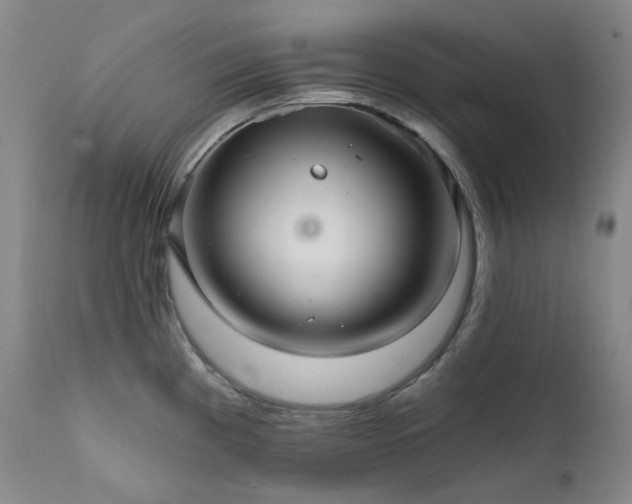 X0000112021193200908031349