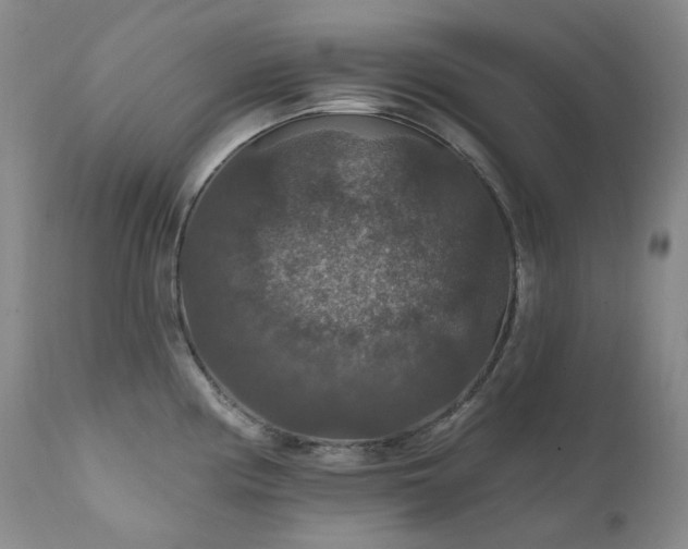 X0000112021194200908031349