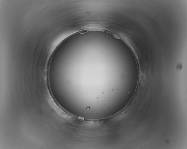 X0000112021195200908031349