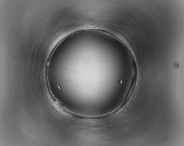 X0000112021197200908031349