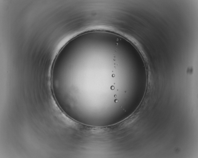 X0000112021199200908031349