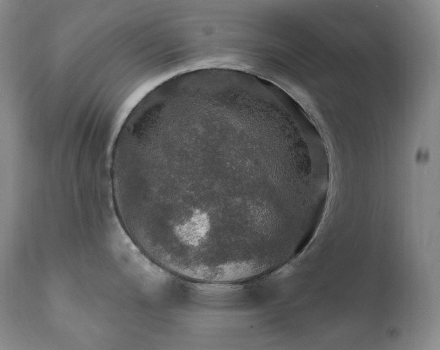 X0000112021200200908031349