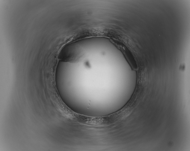 X0000112021201200908031349