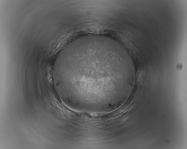 X0000112021202200908031349