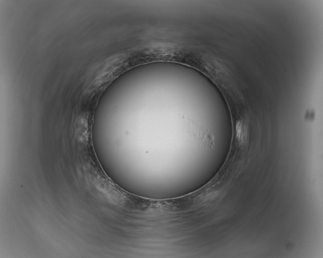 X0000112021203200908031349