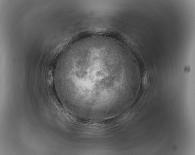 X0000112021204200908031349