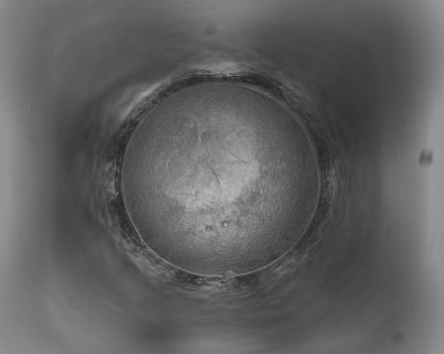 X0000112021205200908031349