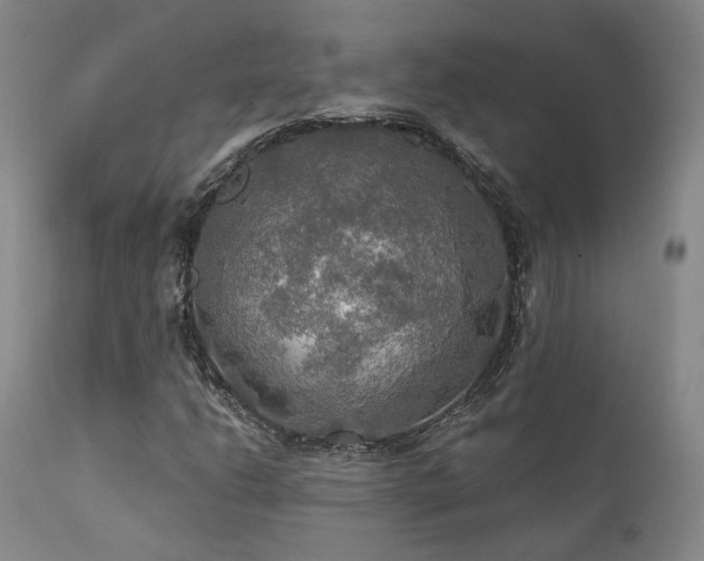 X0000112021206200908031349