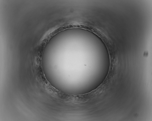 X0000112021207200908031349