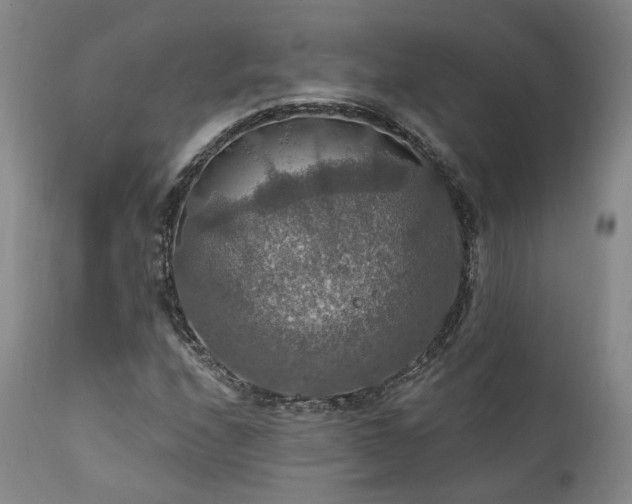 X0000112021208200908031349