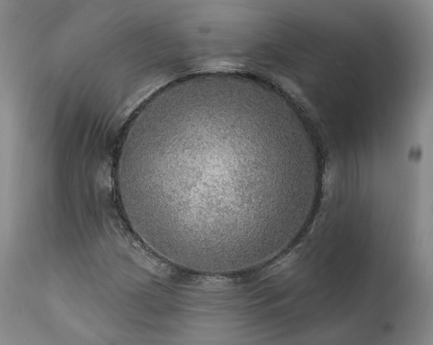 X0000112021209200908031349