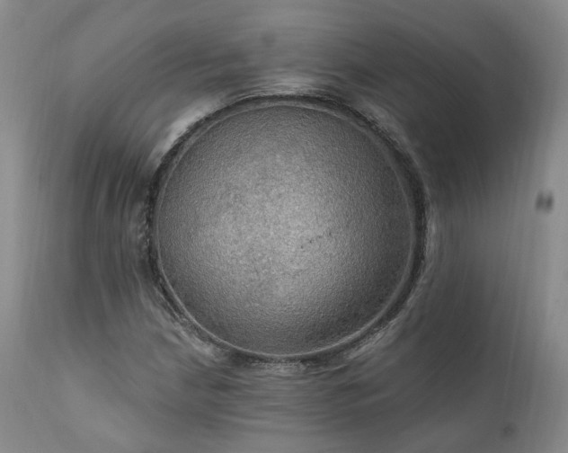 X0000112021210200908031349