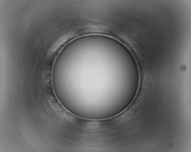 X0000112021211200908031349