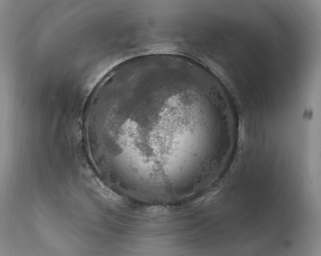 X0000112021212200908031349