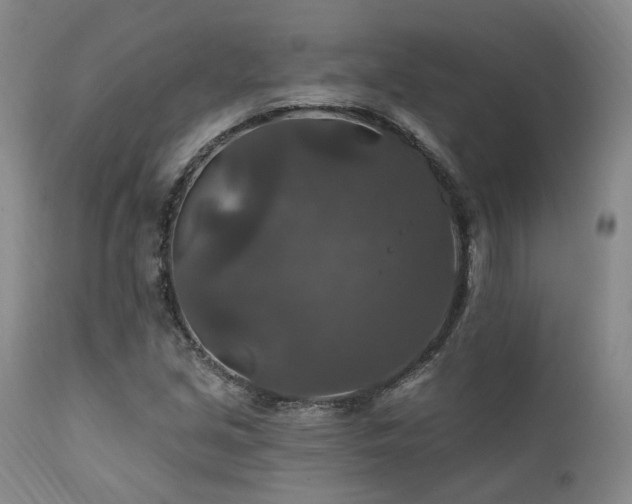 X0000112021213200908031349