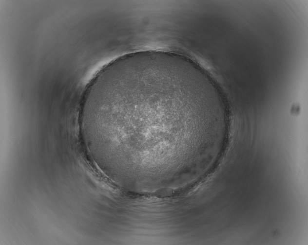 X0000112021214200908031349