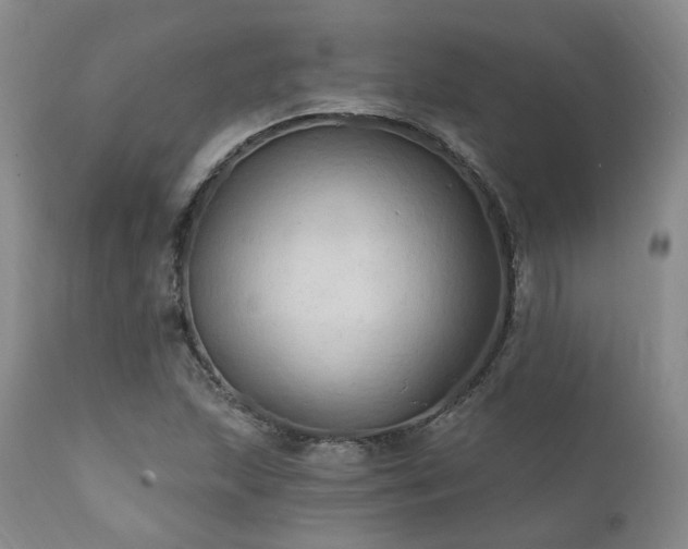 X0000112021215200908031349