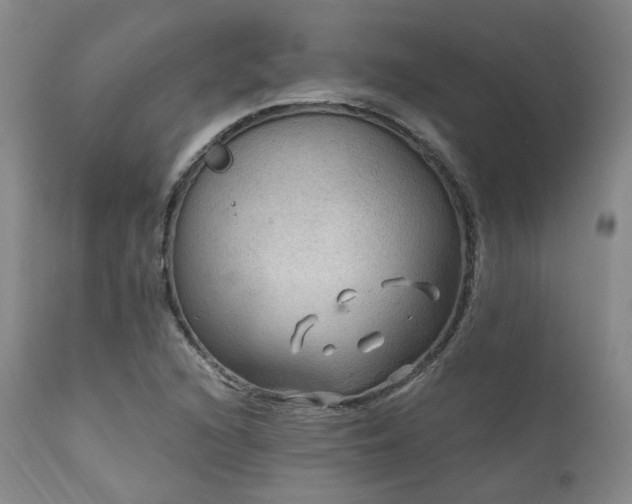 X0000112021216200908031349