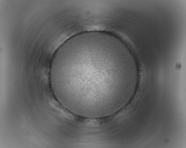 X0000112021217200908031349