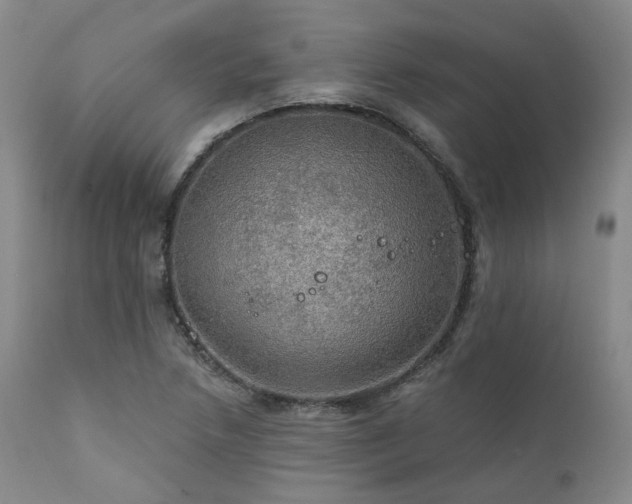 X0000112021218200908031349