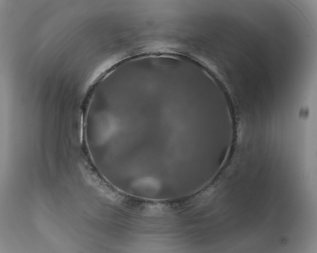 X0000112021219200908031349