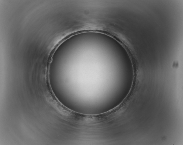 X0000112021220200908031349