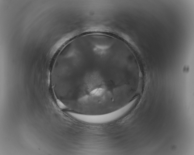 X0000112021221200908031349