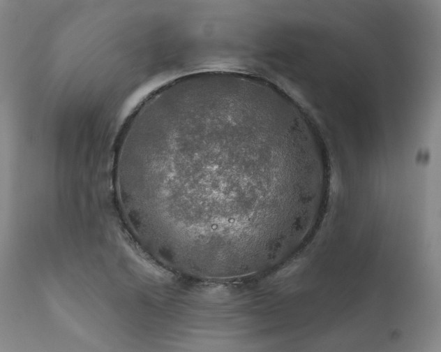 X0000112021222200908031349