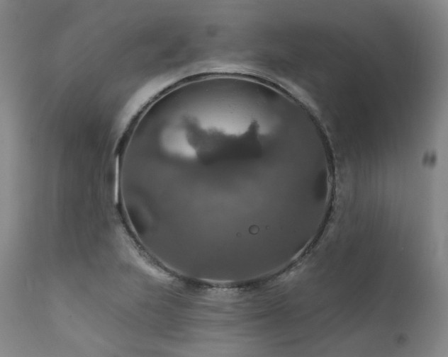 X0000112021223200908031349