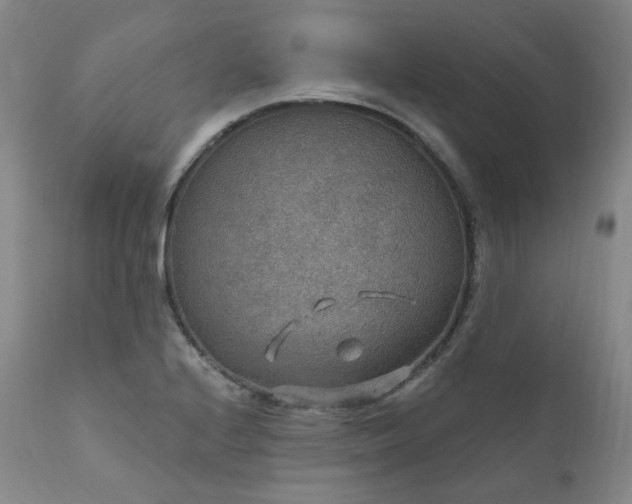 X0000112021224200908031349