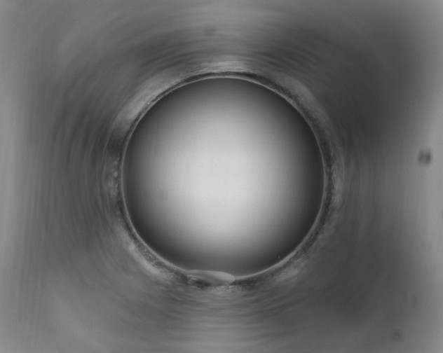 X0000112021225200908031349