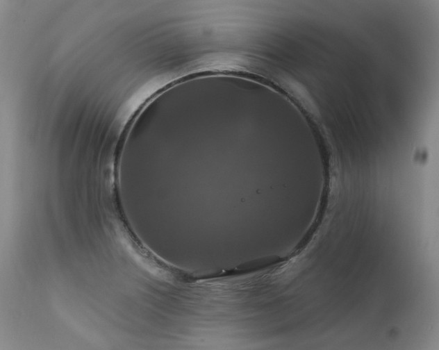 X0000112021226200908031349