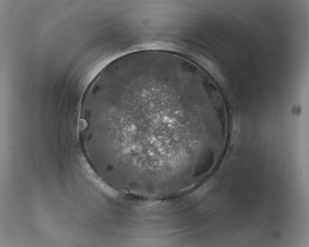 X0000112021228200908031349