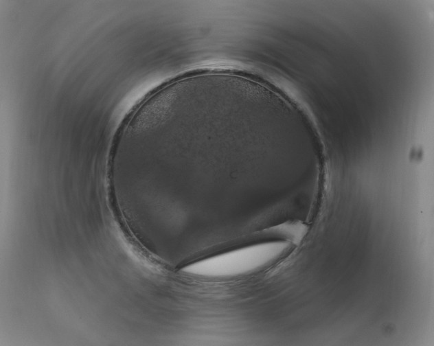 X0000112021229200908031349