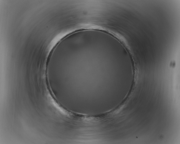 X0000112021231200908031349