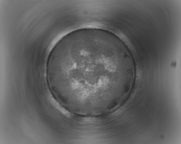 X0000112021232200908031349