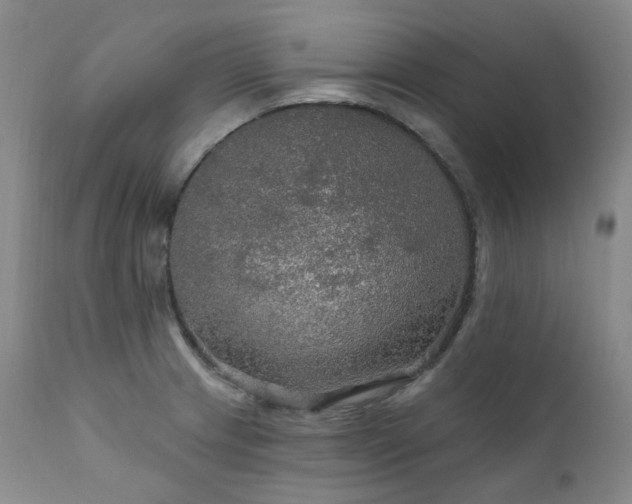 X0000112021233200908031349