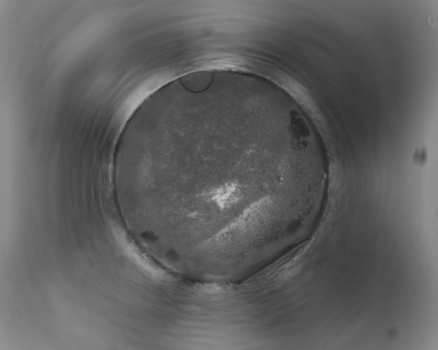 X0000112021234200908031349