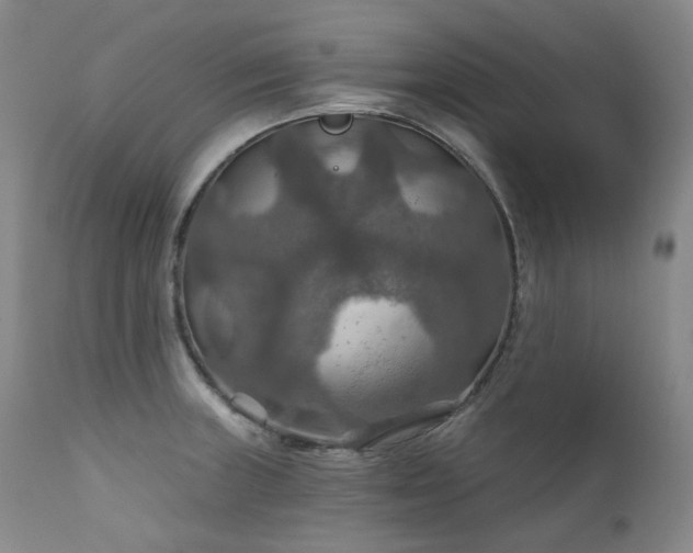 X0000112021235200908031349