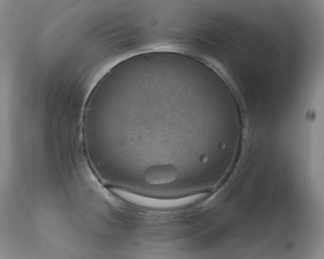 X0000112021236200908031349