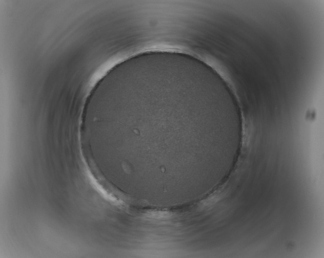 X0000112021237200908031349