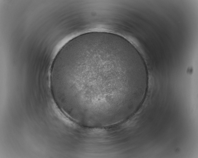 X0000112021238200908031349