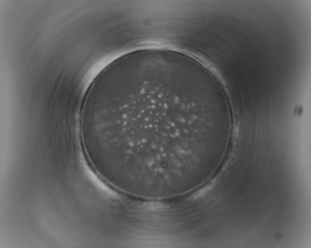 X0000112021239200908031349