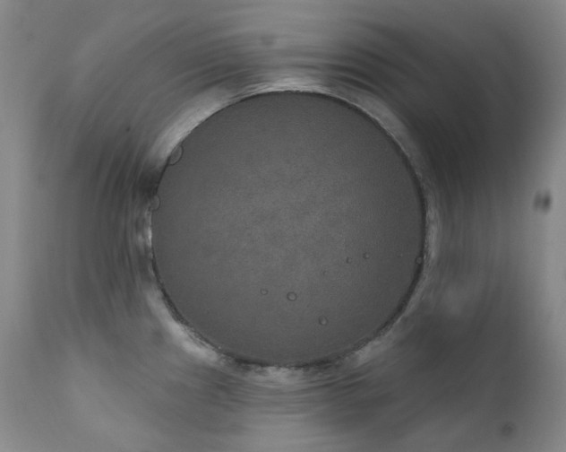 X0000112021241200908031349