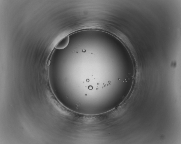 X0000112021242200908031349